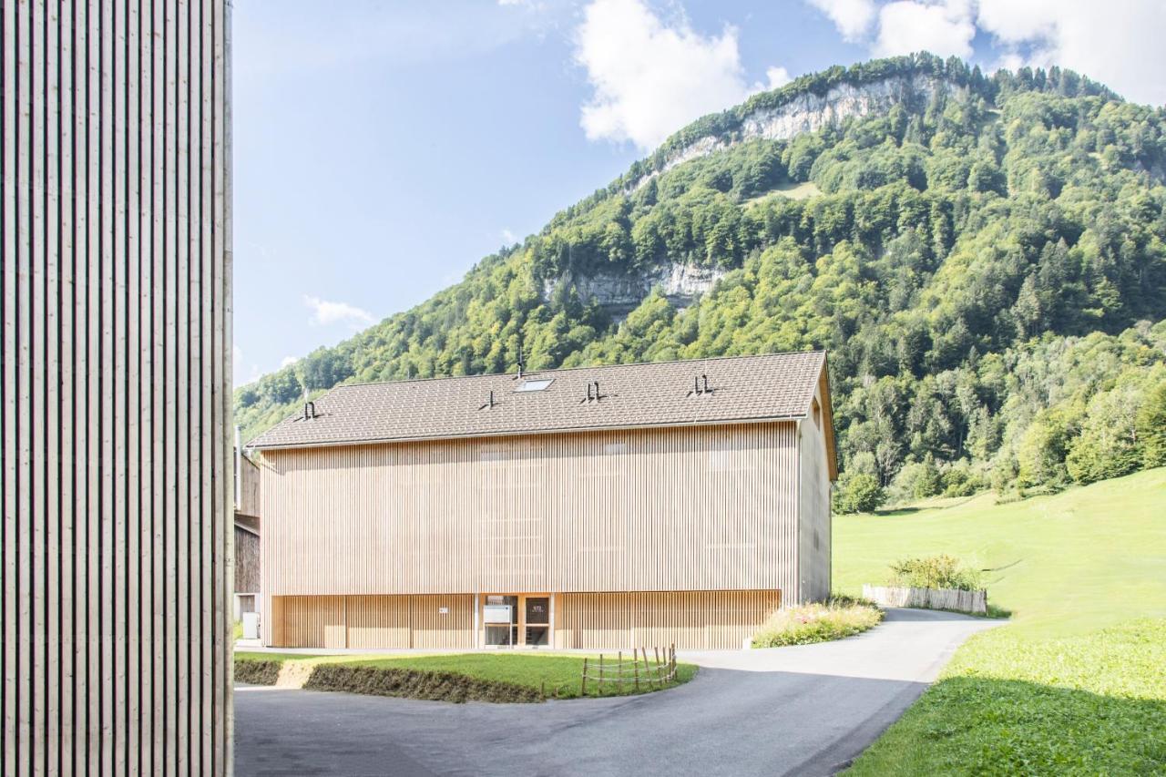 Wasserfall Apartments Mellau Exterior foto
